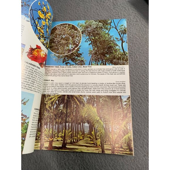 Hawaiis Flowering Trees Book by Doug Wallin Larry Witt - Guide To Tropical Trees - Picture 5 of 7